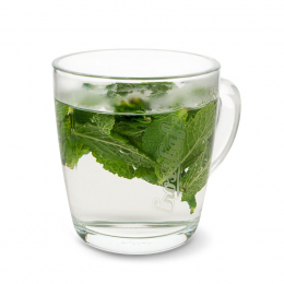 Čaj z čerstv&eacute; m&aacute;ty