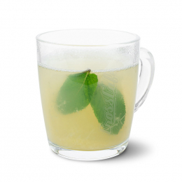 Čaj z čerstv&eacute;ho z&aacute;zvoru a m&aacute;ty